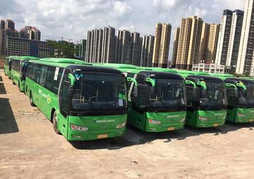 ultimo caso aziendale circa Oltre 150 autobus urbani cinesi esportati in Kazakistan