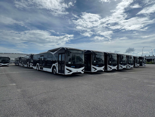 EV Zonson Segong-hand City Bus per 2 passeggeri porte ed esterno bianco